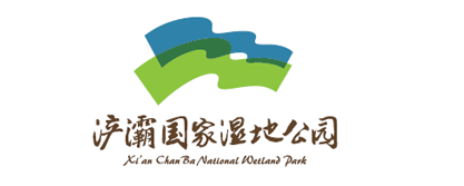 鼎天国际 bfdf0
