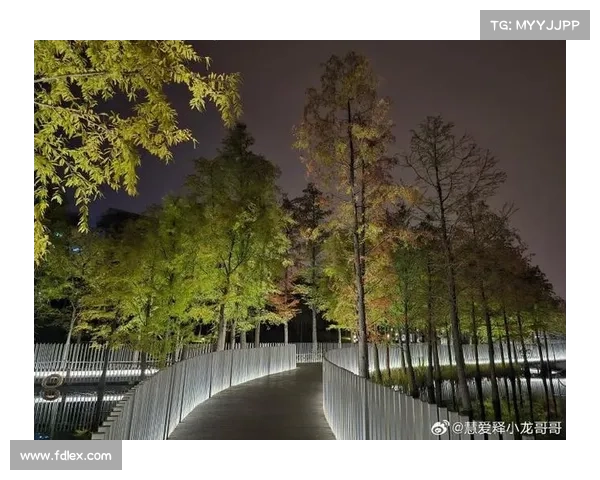 为什么永歌森林是你一生中不可错过的自然旅行胜地 为什么永歌森林是你一生中不可错过的自然旅行胜地