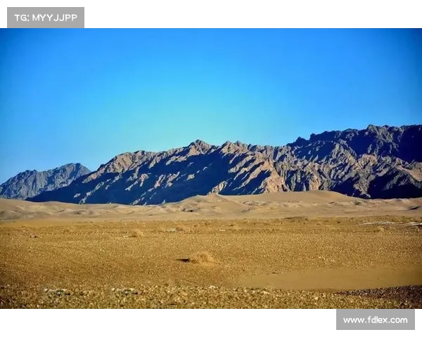 未来战争战略与克罗米英雄史诗的深度剖析与探索